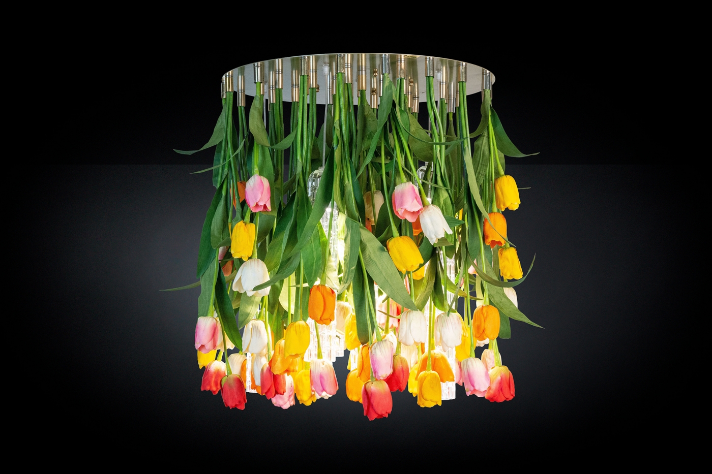1624622536-8880331.84_TULIP MAXI_2326